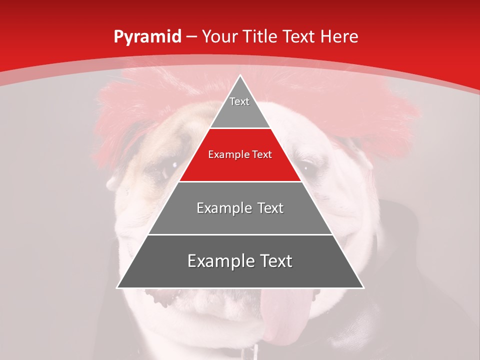 Silly Staring Bull PowerPoint Template