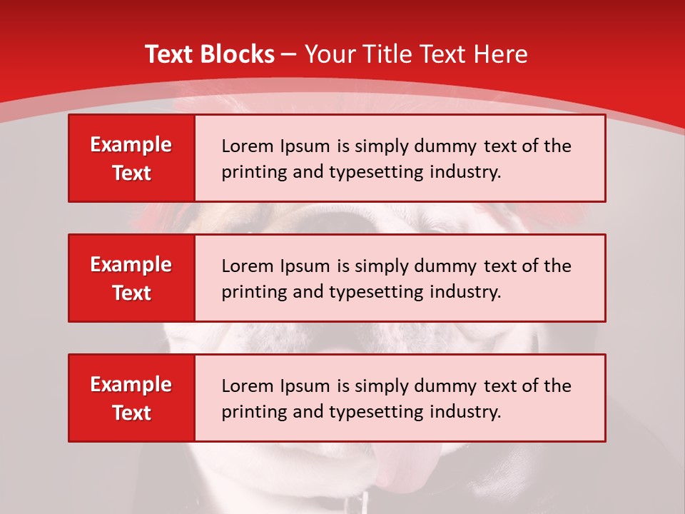 Silly Staring Bull PowerPoint Template