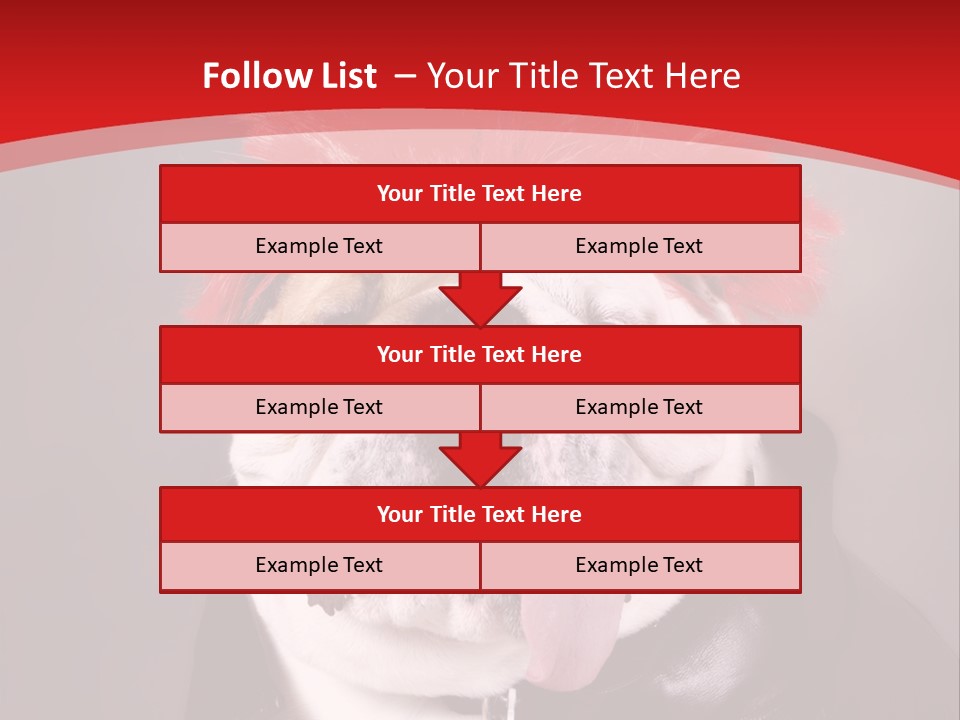 Silly Staring Bull PowerPoint Template