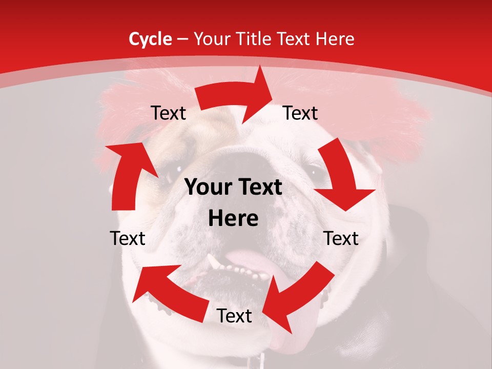 Silly Staring Bull PowerPoint Template