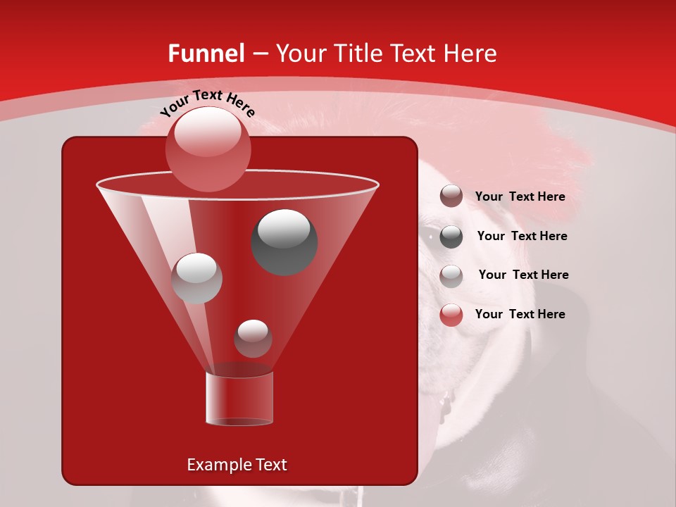 Silly Staring Bull PowerPoint Template