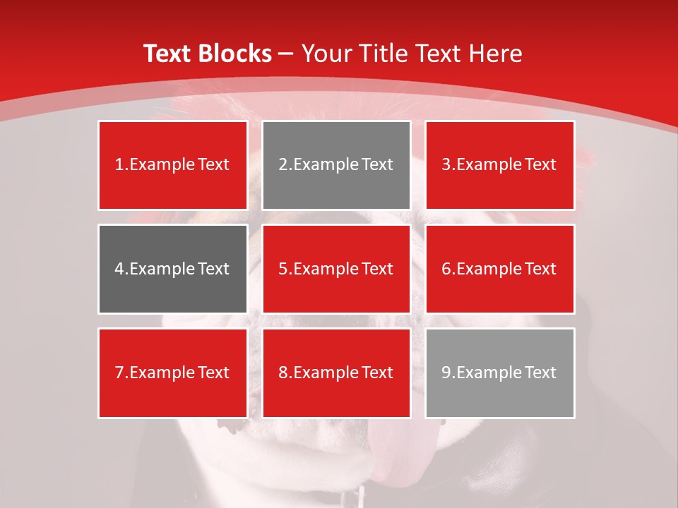 Silly Staring Bull PowerPoint Template