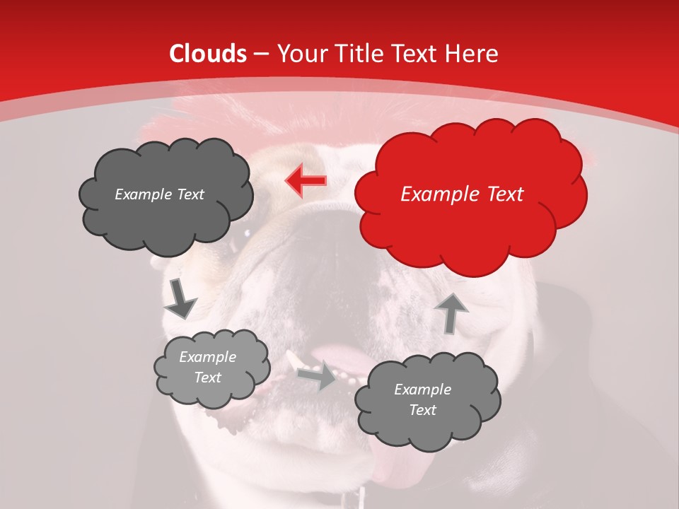 Silly Staring Bull PowerPoint Template