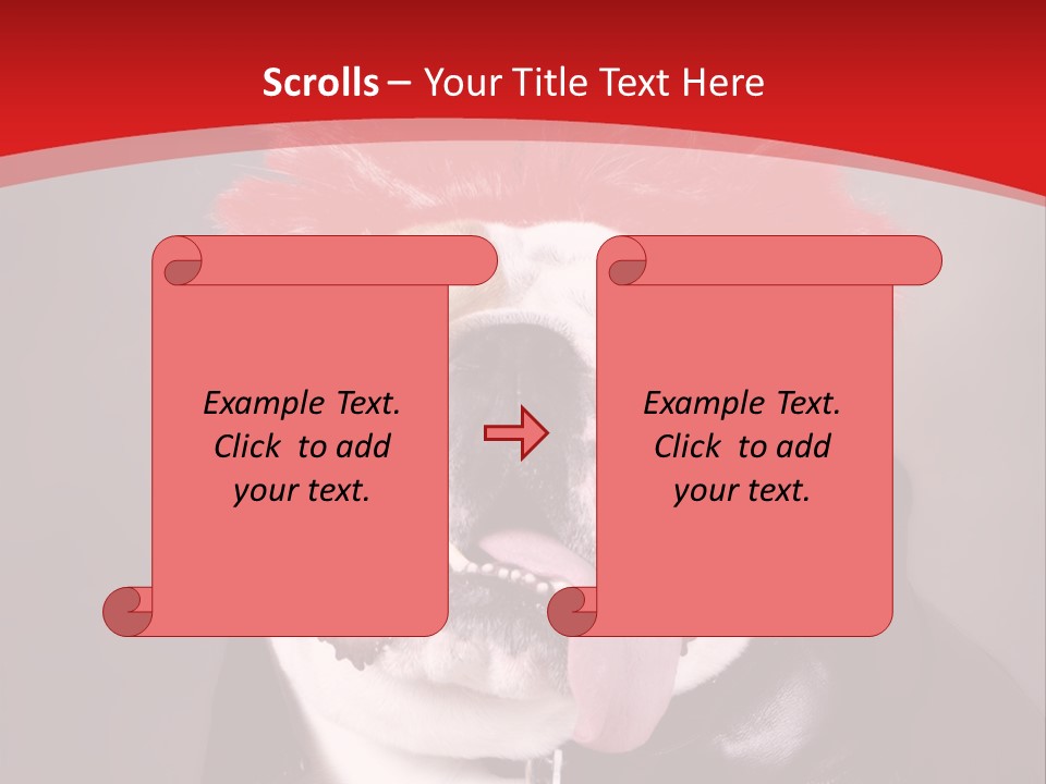 Silly Staring Bull PowerPoint Template