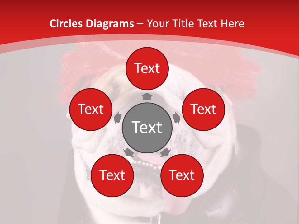 Silly Staring Bull PowerPoint Template