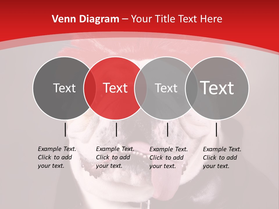Silly Staring Bull PowerPoint Template