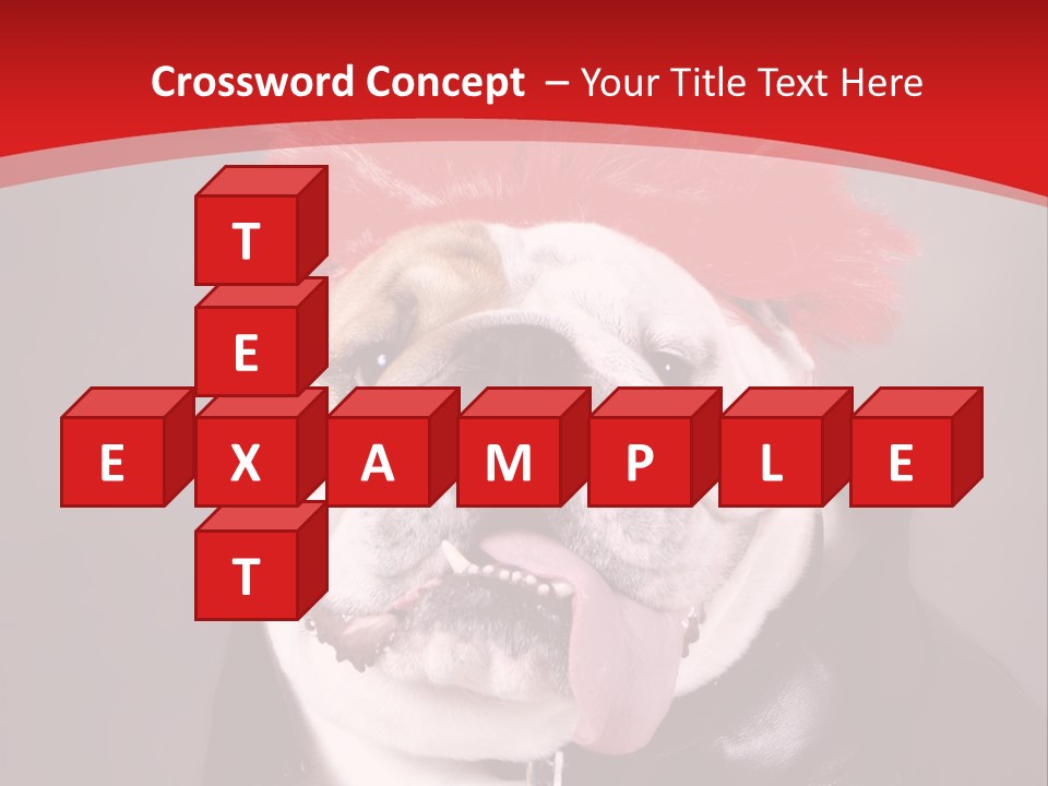 Silly Staring Bull PowerPoint Template