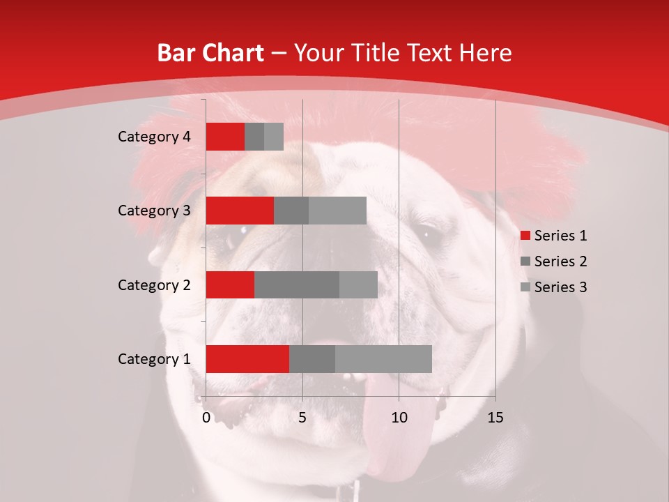 Silly Staring Bull PowerPoint Template