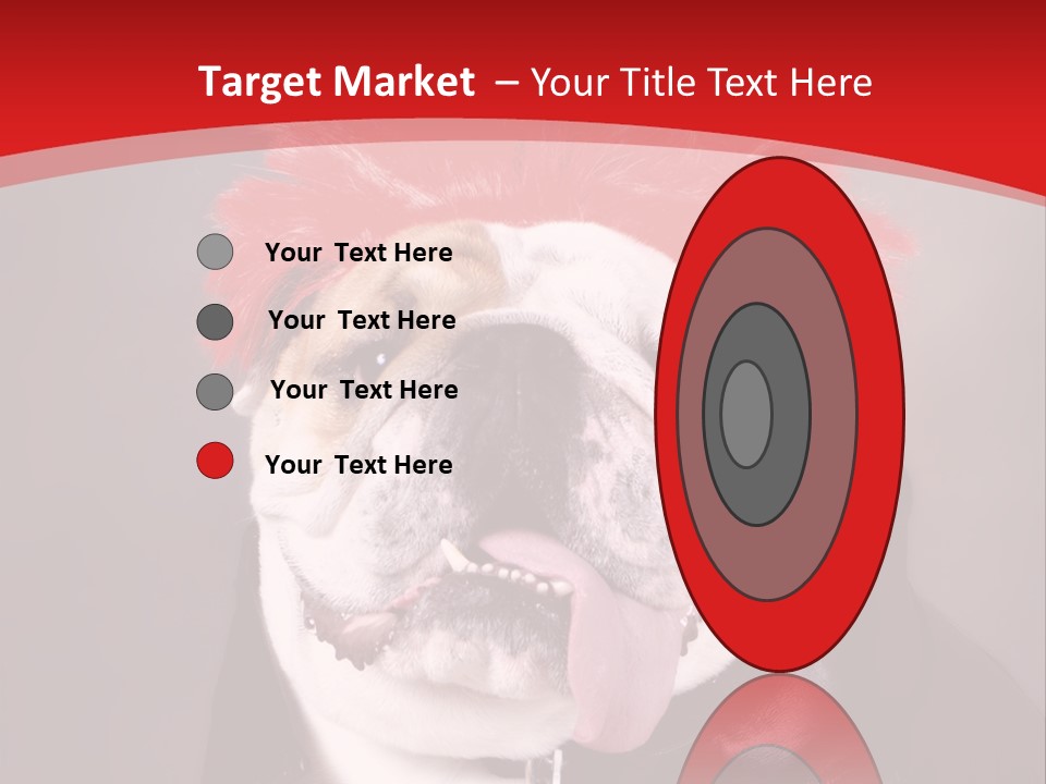 Silly Staring Bull PowerPoint Template