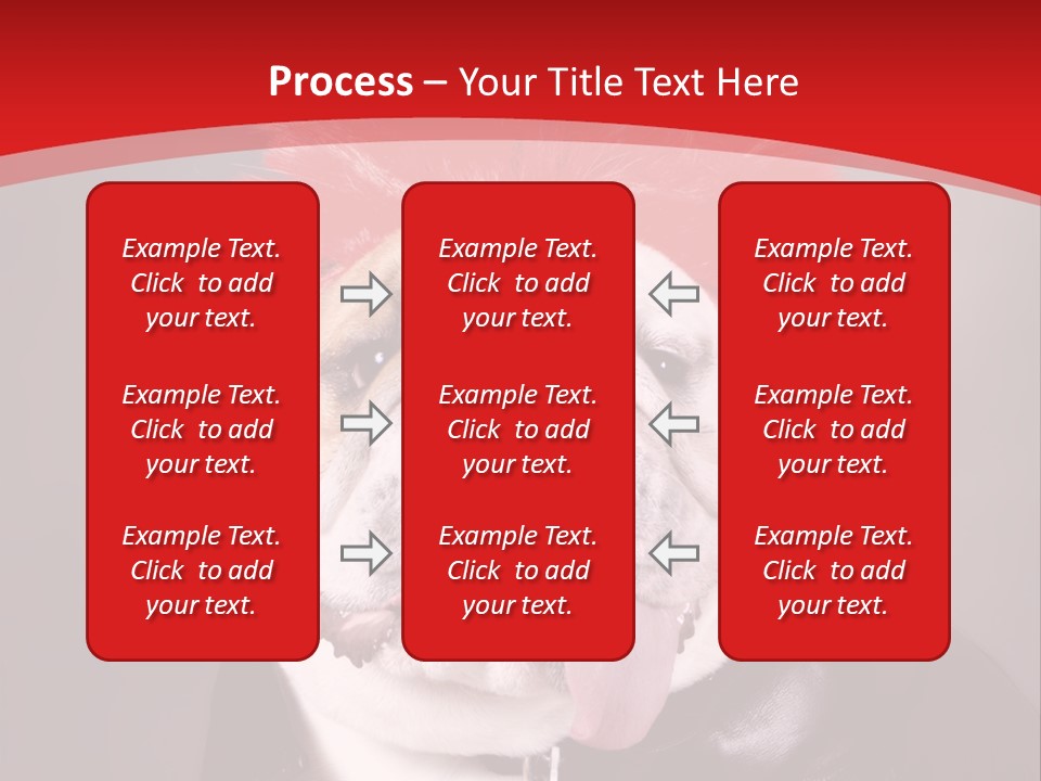 Silly Staring Bull PowerPoint Template