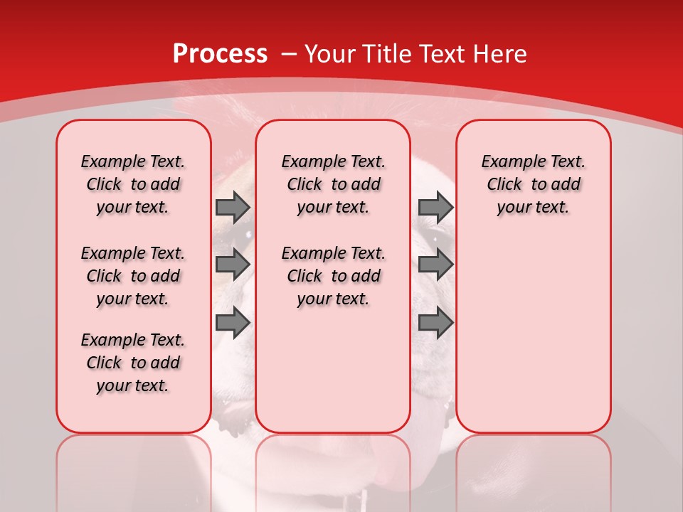 Silly Staring Bull PowerPoint Template