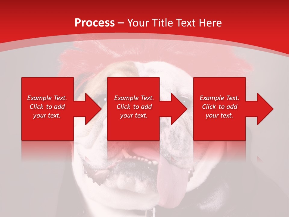 Silly Staring Bull PowerPoint Template