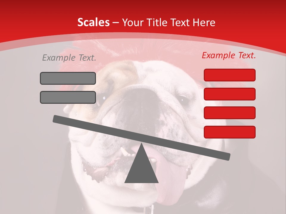 Silly Staring Bull PowerPoint Template