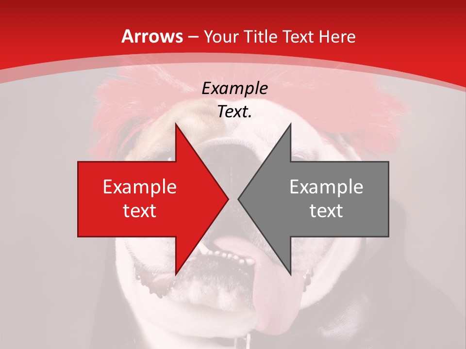 Silly Staring Bull PowerPoint Template