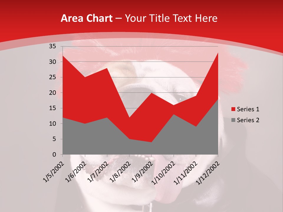 Silly Staring Bull PowerPoint Template