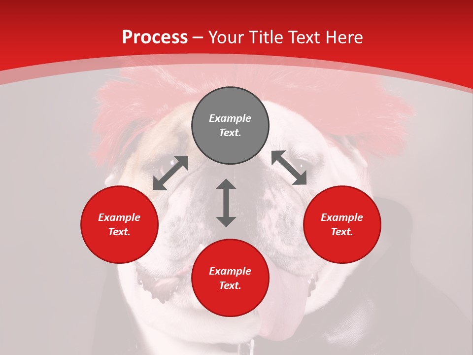 Silly Staring Bull PowerPoint Template