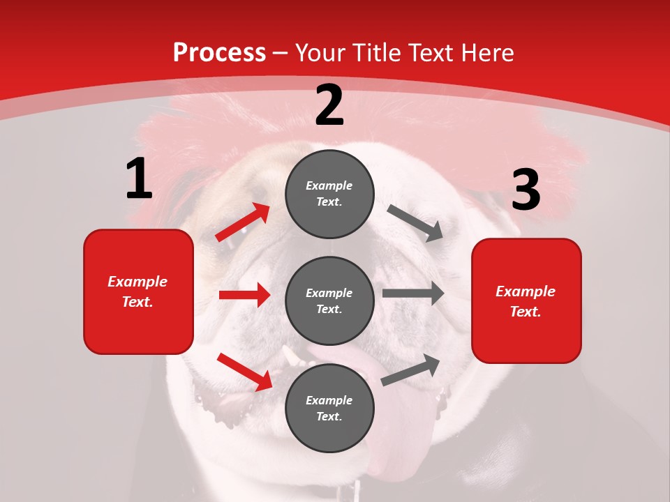 Silly Staring Bull PowerPoint Template