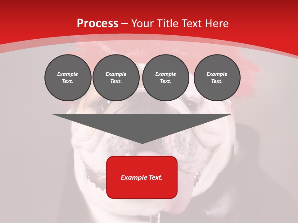 Silly Staring Bull PowerPoint Template