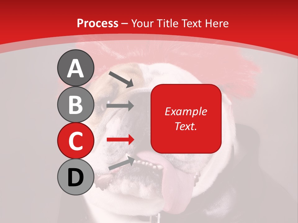 Silly Staring Bull PowerPoint Template