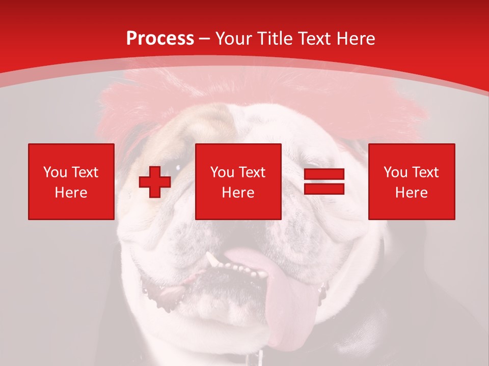 Silly Staring Bull PowerPoint Template