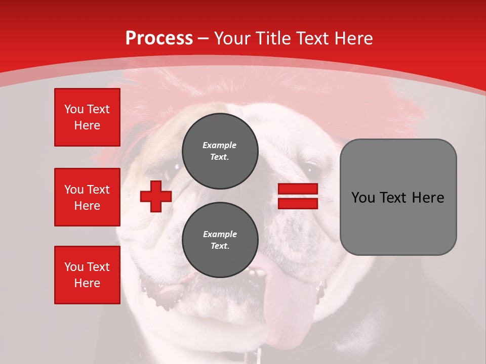 Silly Staring Bull PowerPoint Template