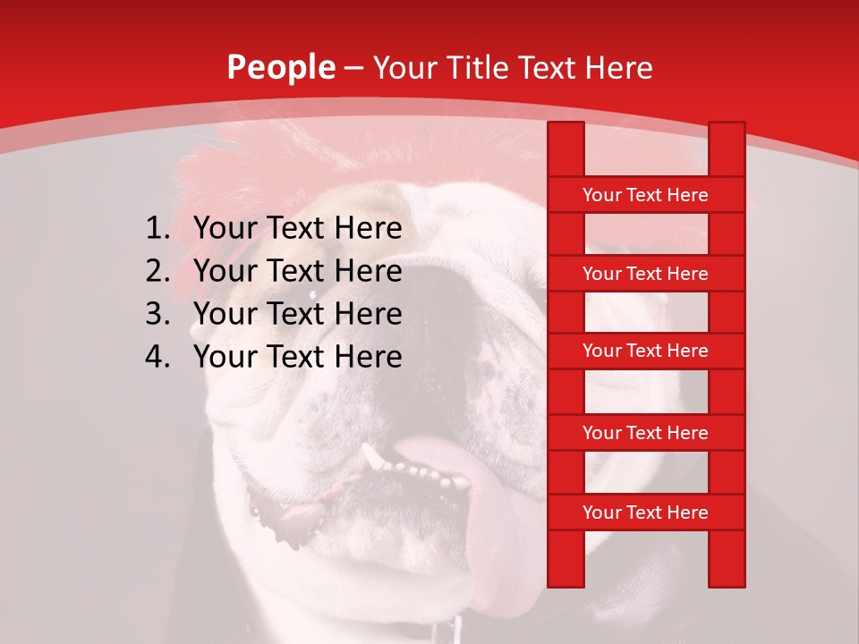 Silly Staring Bull PowerPoint Template