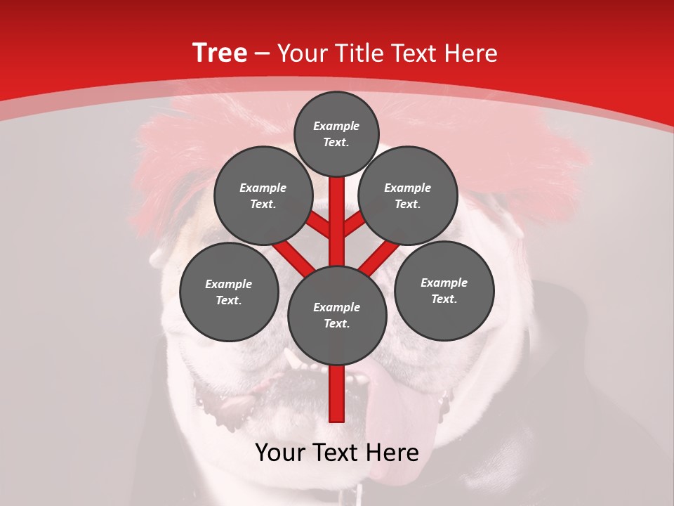 Silly Staring Bull PowerPoint Template