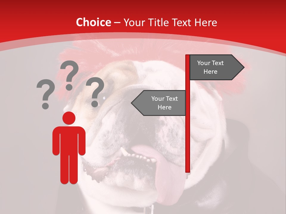 Silly Staring Bull PowerPoint Template