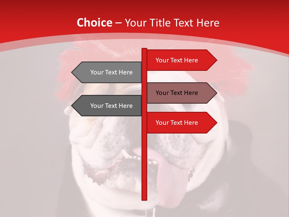 Silly Staring Bull PowerPoint Template