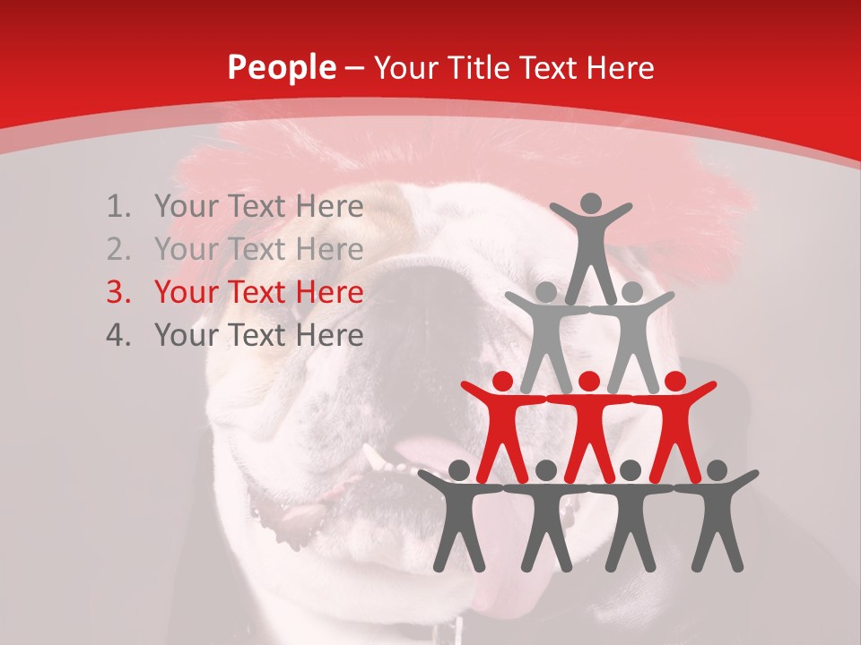 Silly Staring Bull PowerPoint Template