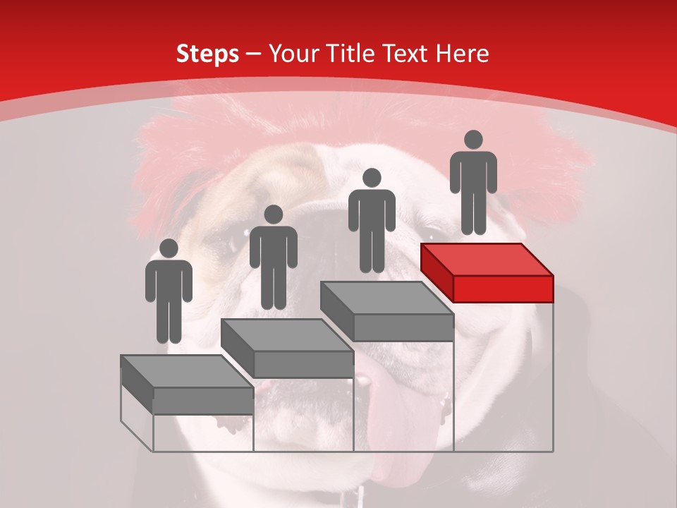 Silly Staring Bull PowerPoint Template