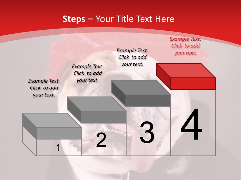 Silly Staring Bull PowerPoint Template