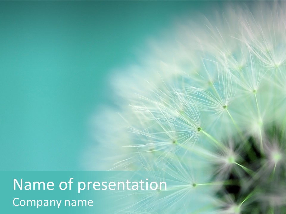 Selective Focus Head Outdoor PowerPoint Template