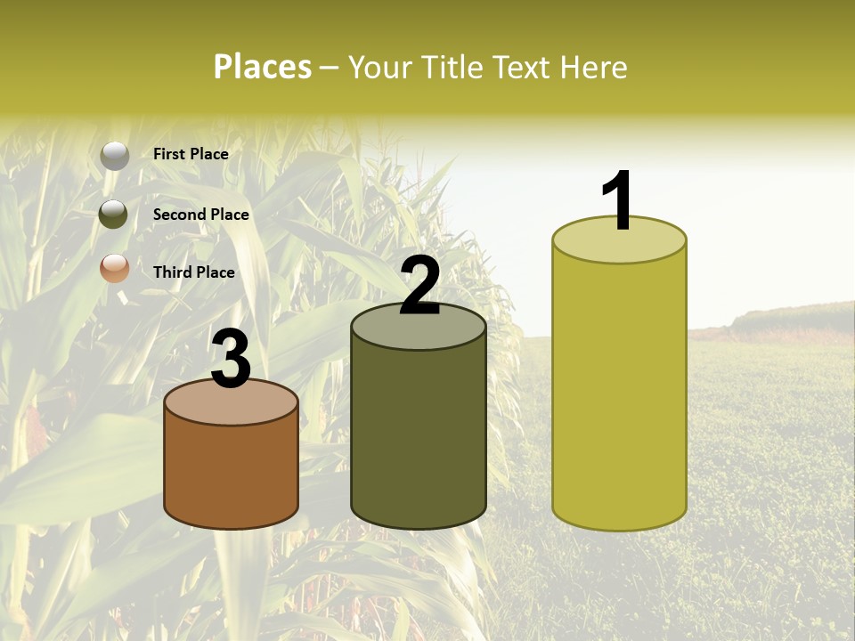 Field Sky Garden PowerPoint Template