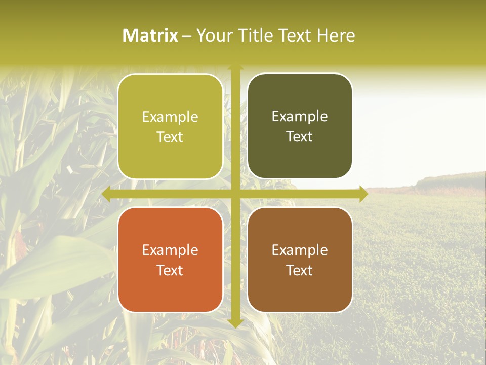 Field Sky Garden PowerPoint Template