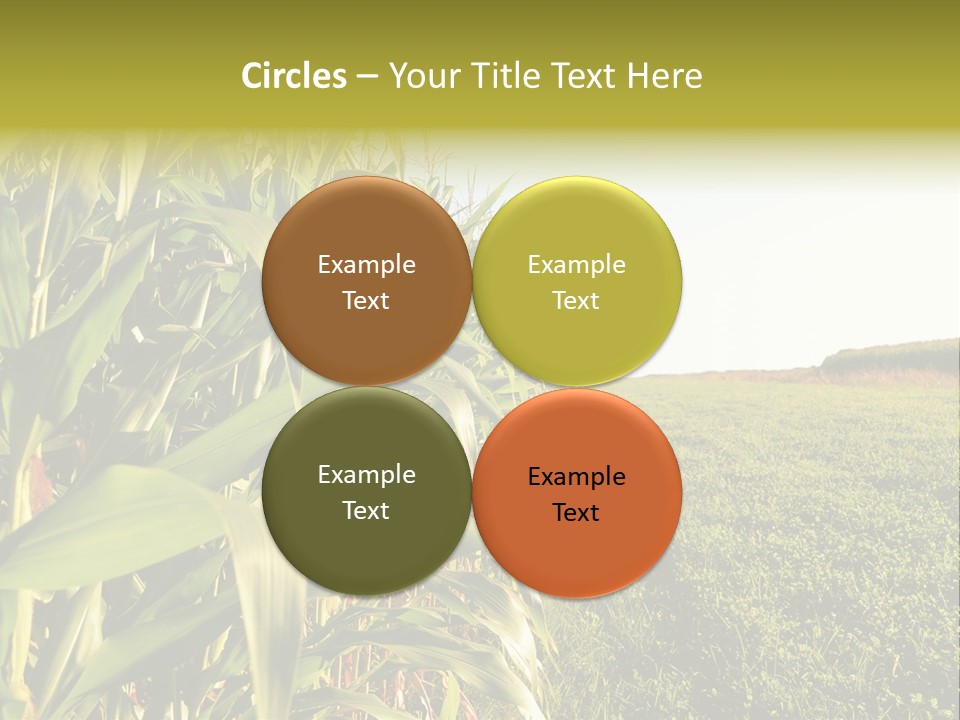 Field Sky Garden PowerPoint Template