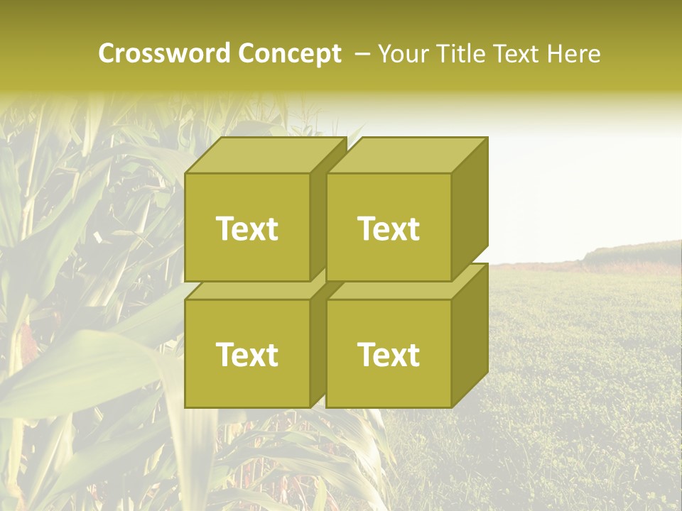 Field Sky Garden PowerPoint Template