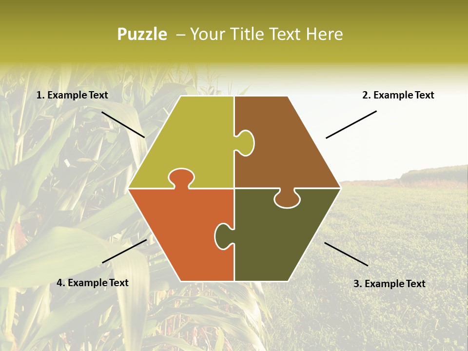 Field Sky Garden PowerPoint Template