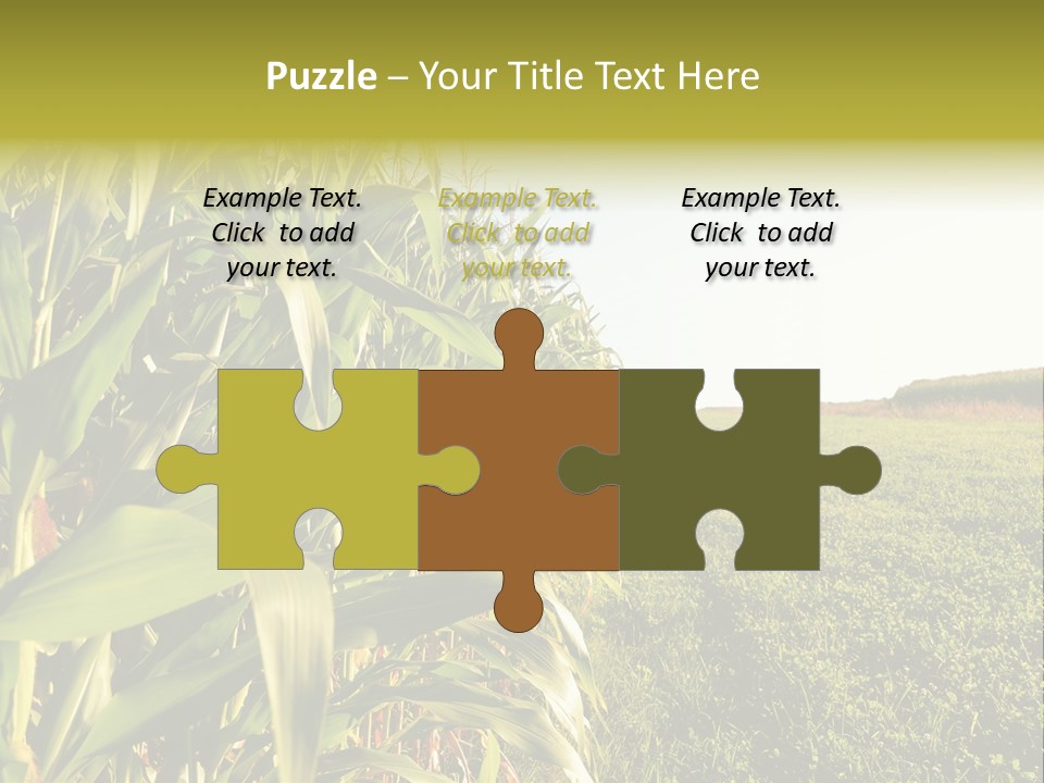 Field Sky Garden PowerPoint Template