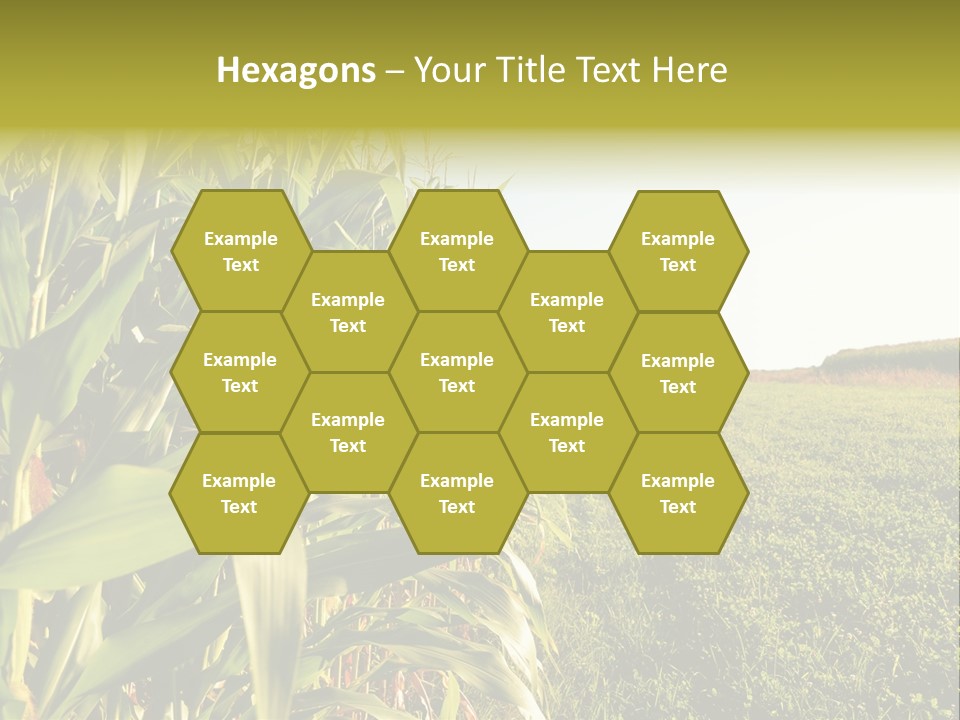Field Sky Garden PowerPoint Template