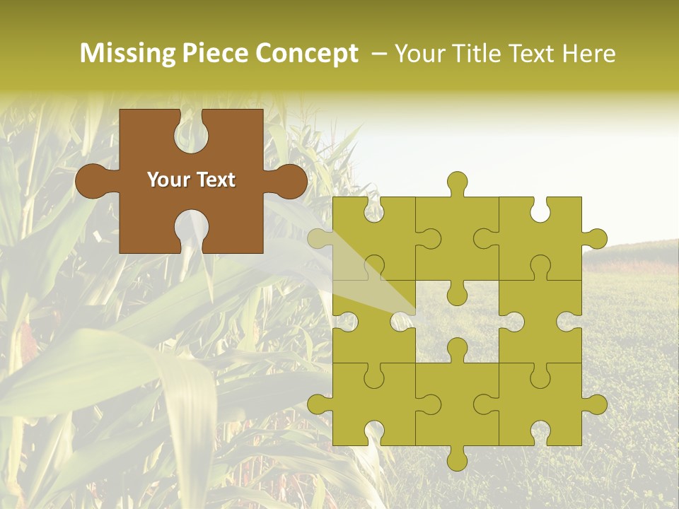 Field Sky Garden PowerPoint Template