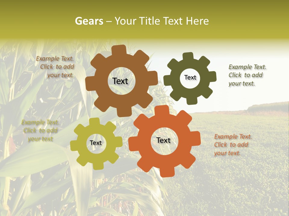 Field Sky Garden PowerPoint Template