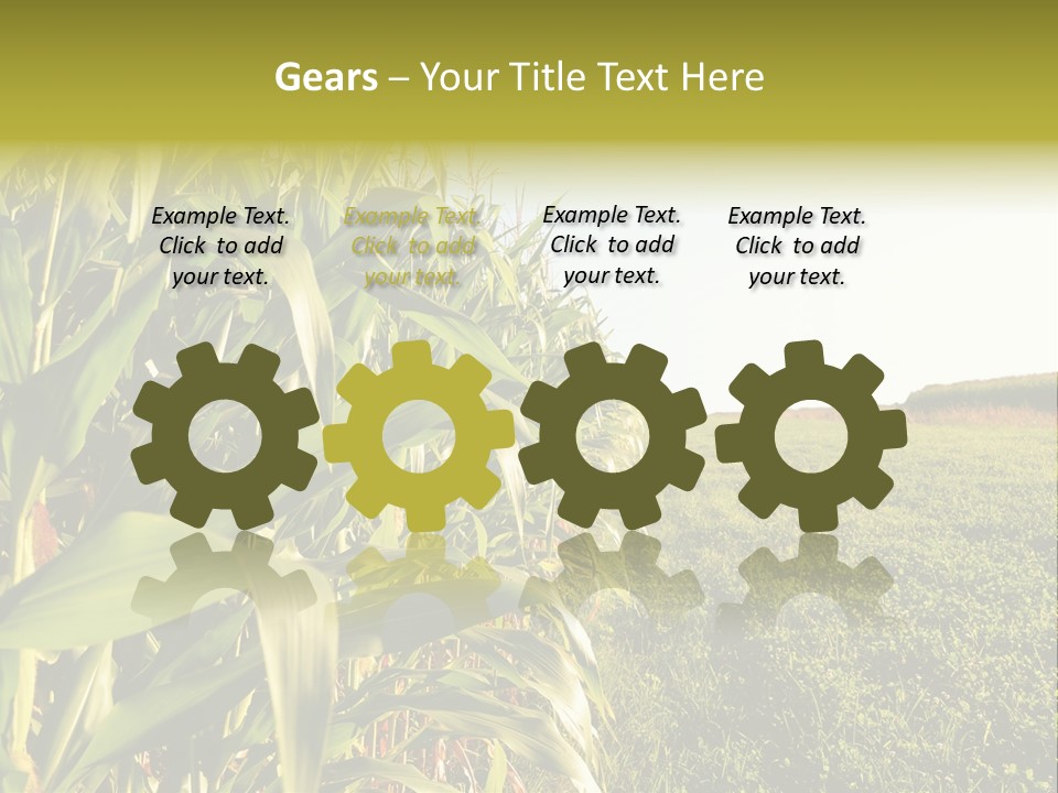 Field Sky Garden PowerPoint Template