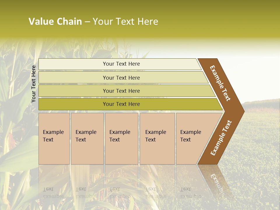 Field Sky Garden PowerPoint Template