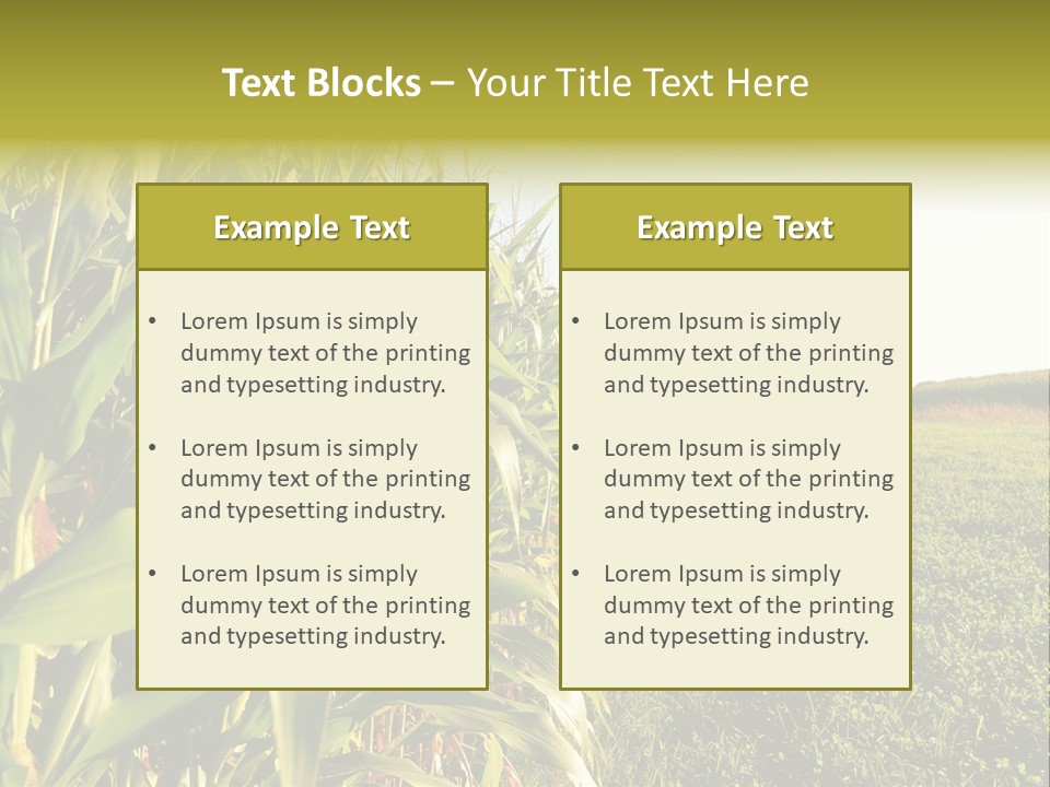 Field Sky Garden PowerPoint Template