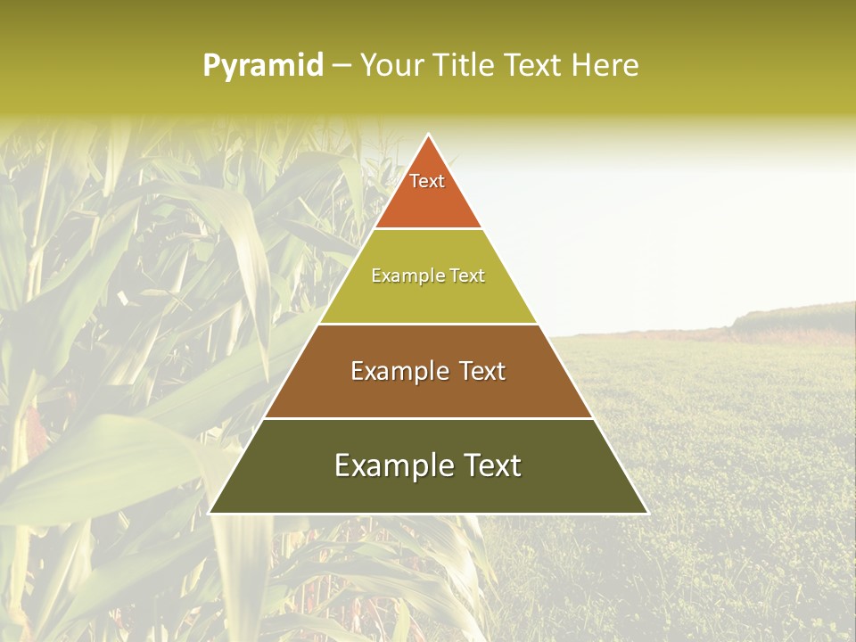 Field Sky Garden PowerPoint Template