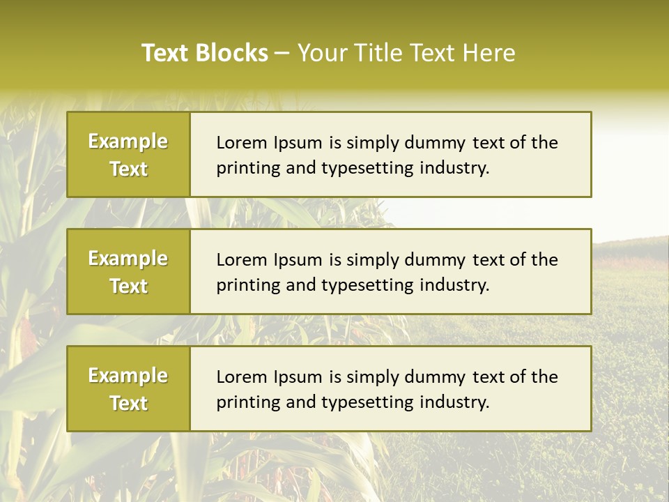 Field Sky Garden PowerPoint Template