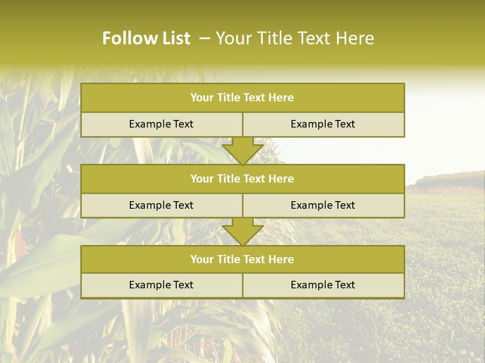 Field Sky Garden PowerPoint Template