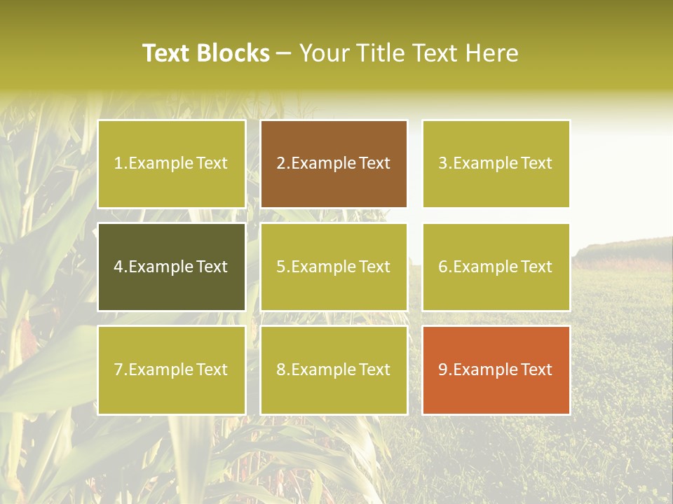 Field Sky Garden PowerPoint Template
