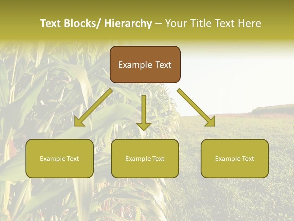 Field Sky Garden PowerPoint Template